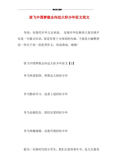 放飞中国梦做志向远大好少年征文范文