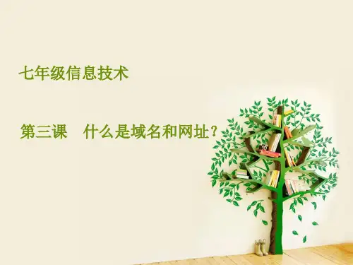 第三课-什么是域名和网址 课件