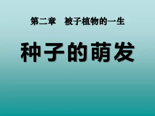《种子的萌发》被子植物的一生3-人教版七年级生物上册PPT课件