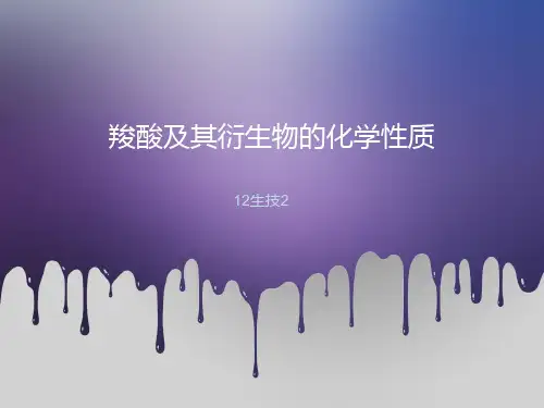 羧酸及其衍生化学性质