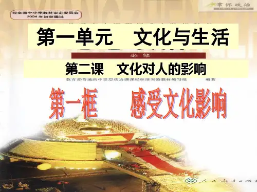 高中思想政治2.1感受文化影响 优秀课件1