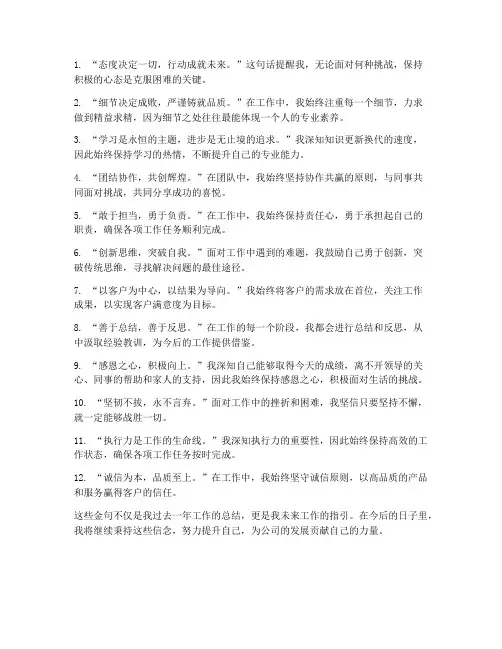 工作总结个人金句精选