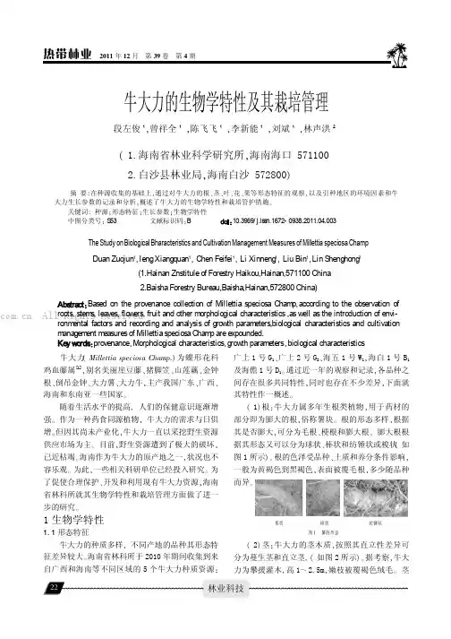 牛大力的生物学特性及其栽培管理