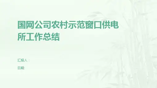 国网公司农村示范窗口供电所工作总结