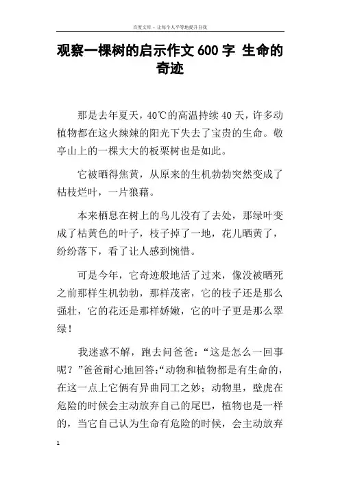 观察一棵树的启示作文600字生命的奇迹
