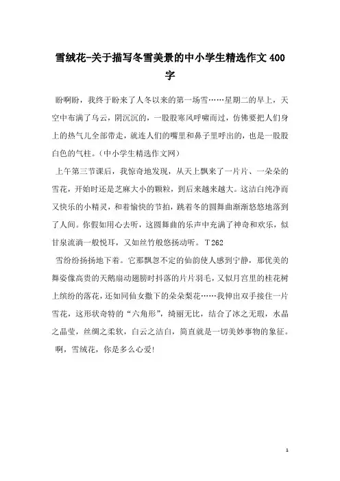 雪绒花-关于描写冬雪美景的中小学生精选作文400字