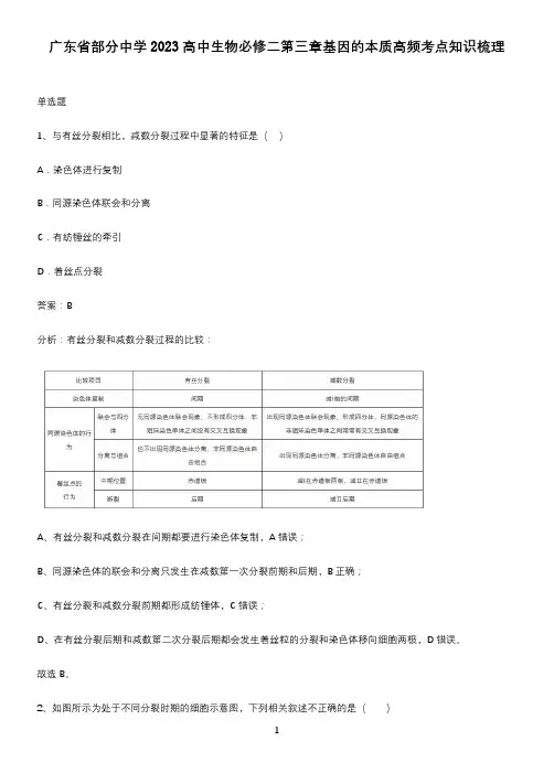 广东省部分中学2023高中生物必修二第三章基因的本质高频考点知识梳理