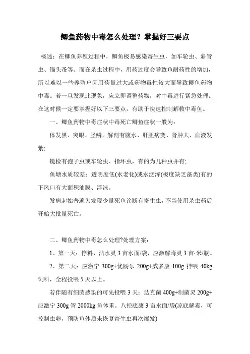 鲫鱼药物中毒怎么处理？掌握好三要点.doc