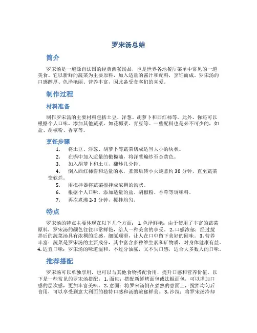 罗宋汤总结