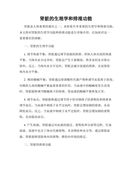 肾脏的生理学和排泄功能