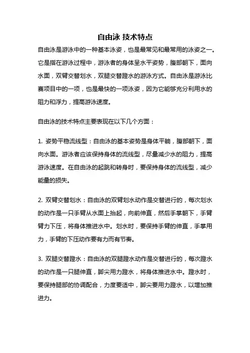 自由泳 技术特点