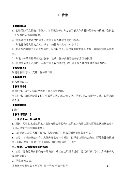 苏教版小学科学四年级下册《骨骼》优秀教案