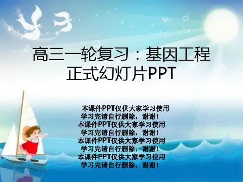 高三一轮复习：基因工程正式幻灯片PPT