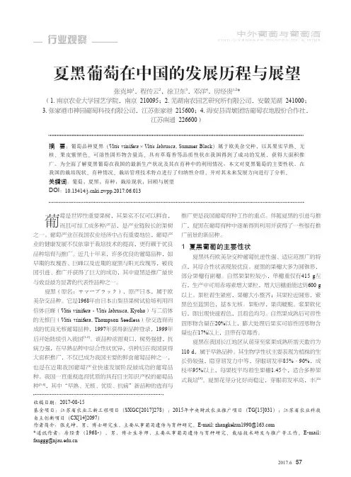夏黑葡萄在中国的发展历程与展望