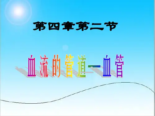 人教版七年级生物下册《血流的管道——血管》.ppt