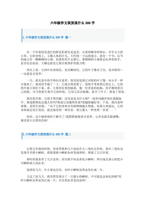 六年级作文我发现什么500字
