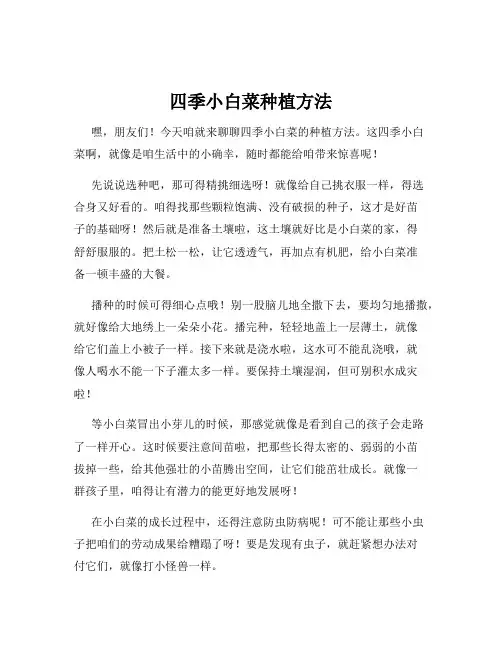 四季小白菜种植方法