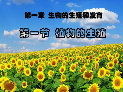 《植物的生殖》生物的生殖和发育PPT精选教学课件3
