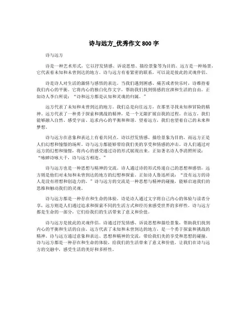 诗与远方_优秀作文800字