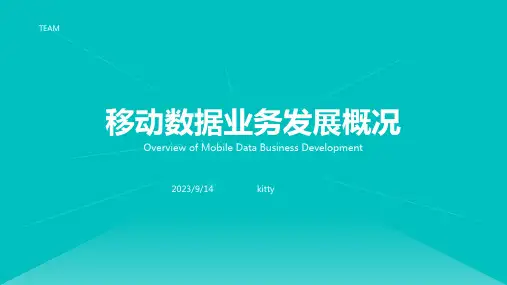 2023年国外移动数据业务发展走势报告模板