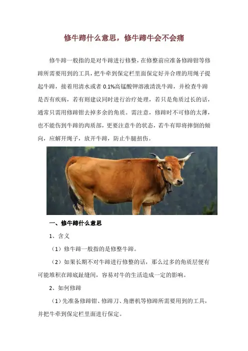 修牛蹄什么意思,修牛蹄牛会不会痛