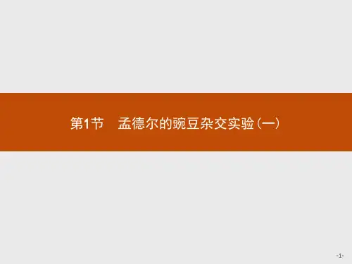 人教版高中生物学必修2精品课件 第1章 第1节 孟德尔的豌豆杂交实验(一)
