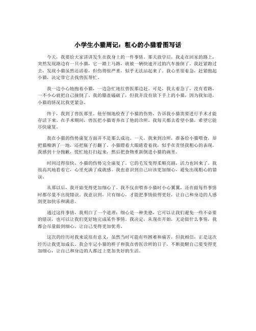 小学生小猫周记：粗心的小猫看图写话
