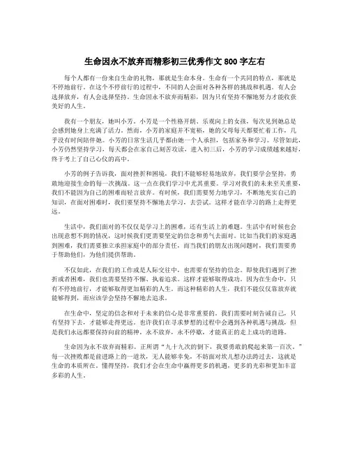 生命因永不放弃而精彩初三优秀作文800字左右