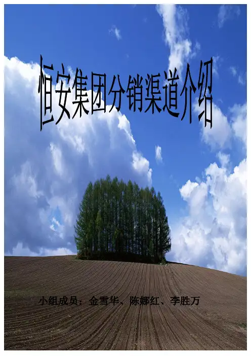 恒安集团分销渠道介绍