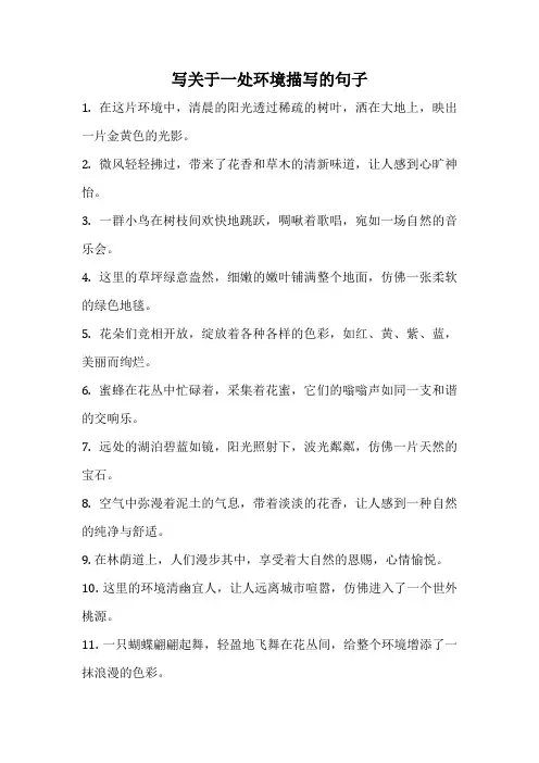 写关于一处环境描写的句子