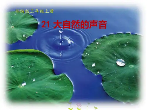 部编版小学语文三年级上册《大自然的声音》PPT课件8