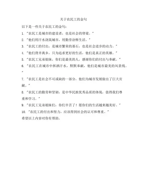关于农民工的金句