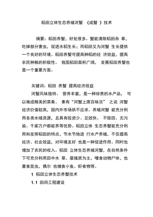 稻田立体生态养殖河蟹(成蟹)技术