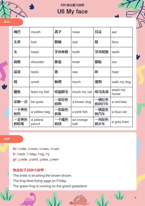  剑桥少儿英语 Kid‘s Box1 6单元复习