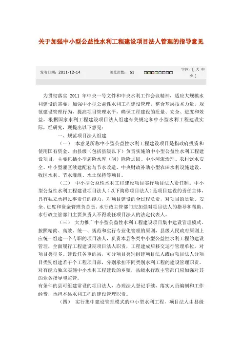 关于加强中小型公益性水利工程建设项目法人管理的指导意见