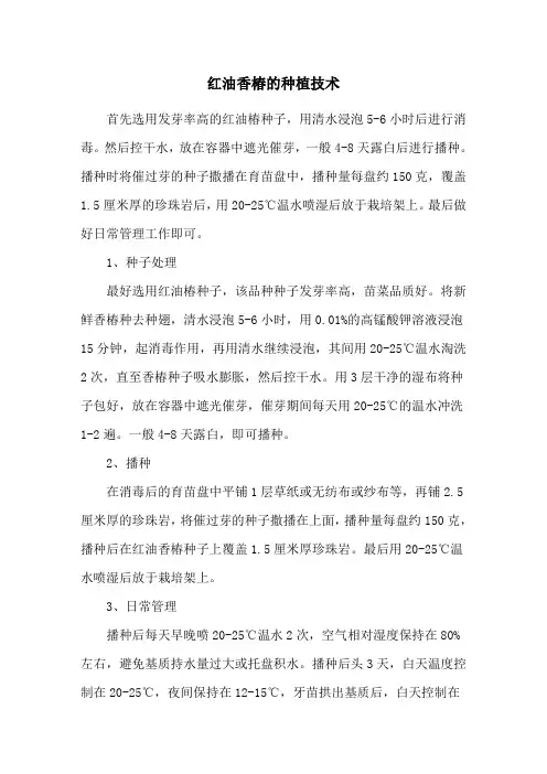 红油香椿的种植技术