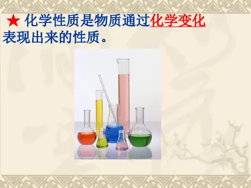盐酸的化学性质ppt课件