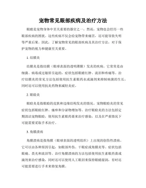 宠物常见眼部疾病及治疗方法
