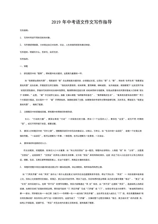2019年中考语文作文写作指导.doc