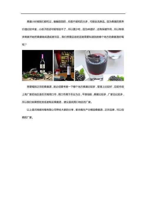 哪个地方的桑葚酒好喝？