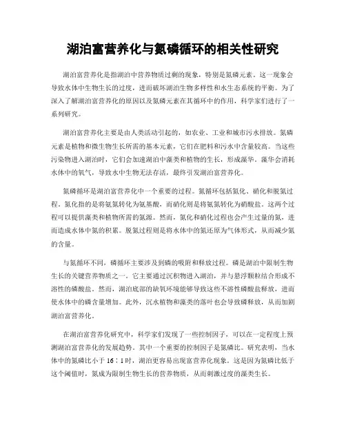湖泊富营养化与氮磷循环的相关性研究