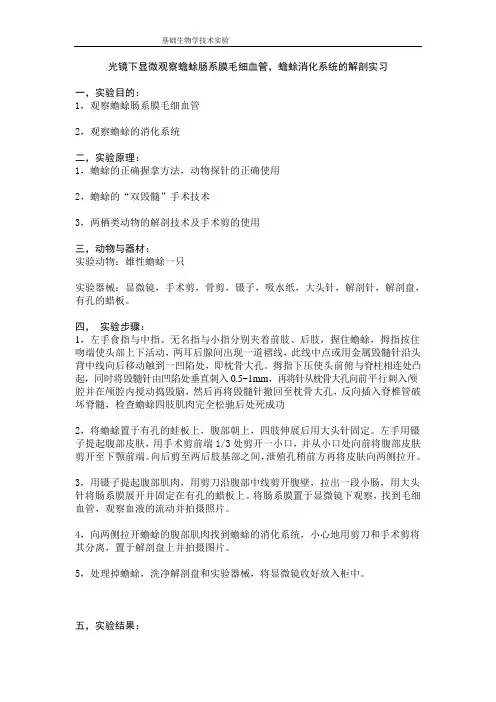 蟾蜍的消化系统(生物技术实验报告)