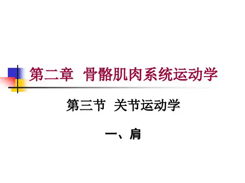 第二章 第三节  关节运动学(一、肩)运动学特征