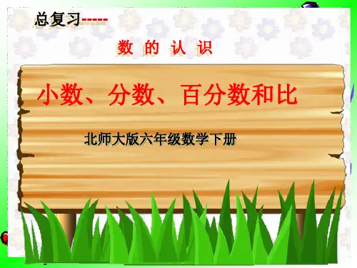 六下数学《毕业总复习--小数、分数、百分数和比》课件(04)