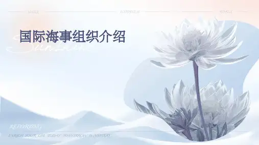 国际海事组织介绍