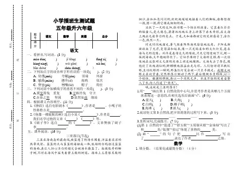小学五年级升六年级插班生测试题
