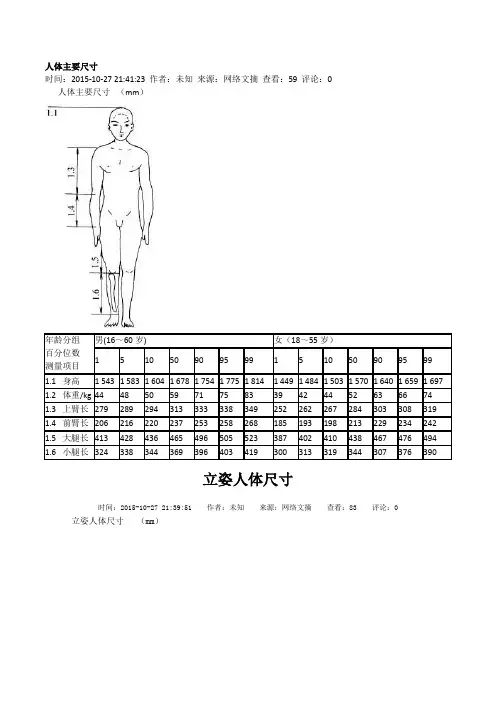 人体主要尺寸