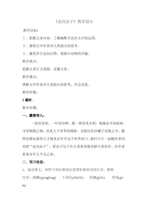 《走向虫子》