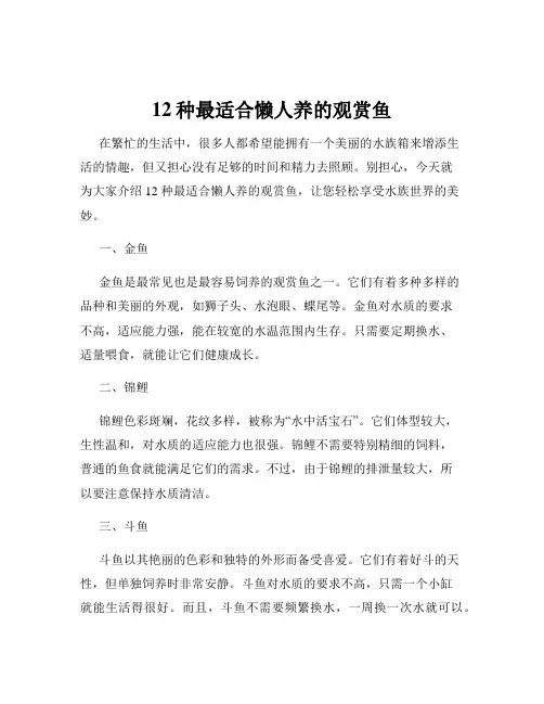 12种最适合懒人养的观赏鱼