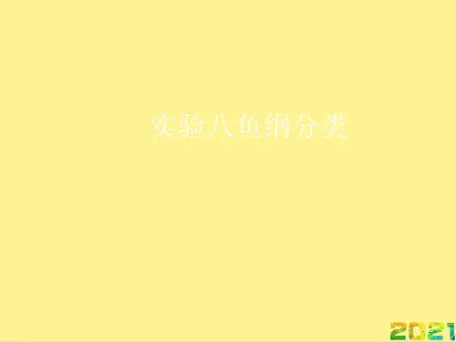 实验八鱼纲分类完整PPT